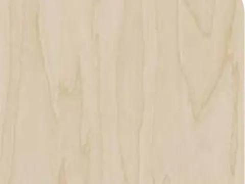 Hout keukenfolie &ndash; Goud bleek berken