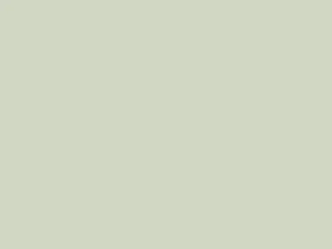 Kleur keukenfolie &ndash; Pistache groen